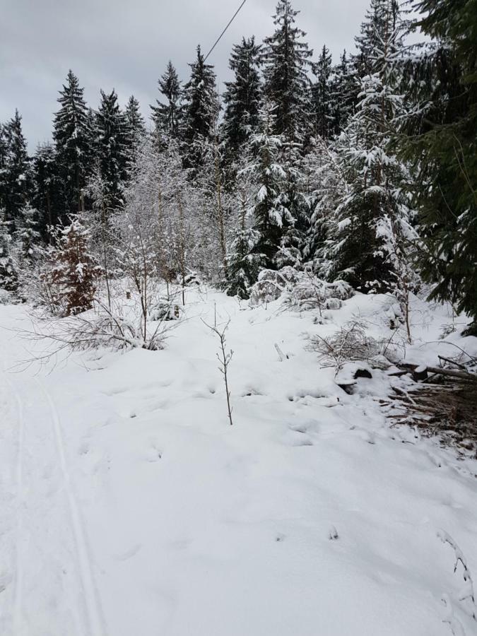 Rosalie - Lake - Hiking&Swimming - Cozy&Nature Winterberg Zewnętrze zdjęcie